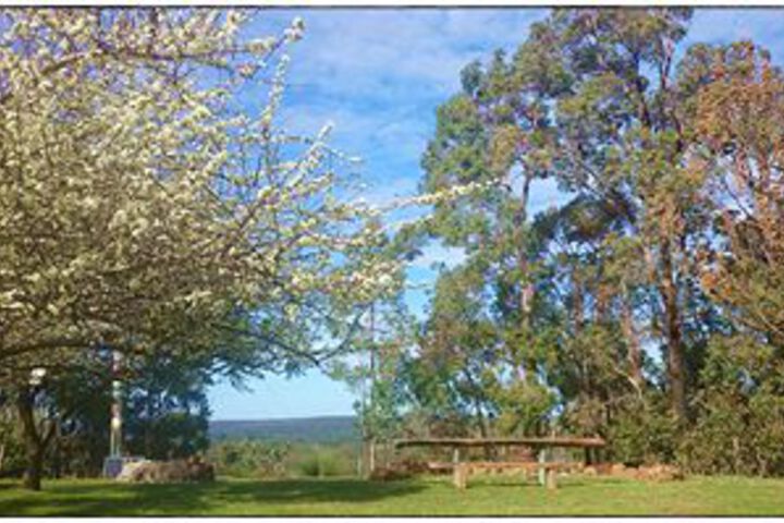 Property Grounds 58 of 62