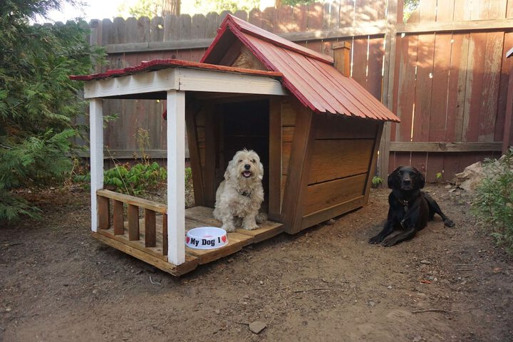 Pet Friendly 196 of 246