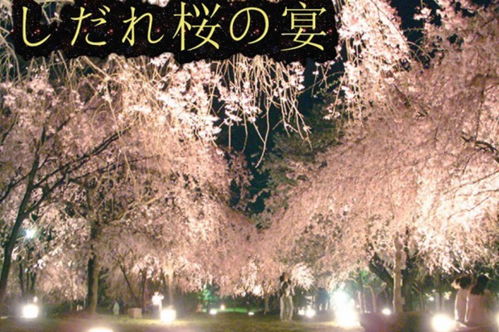 Shonan Manazuru Kashibesso Umi