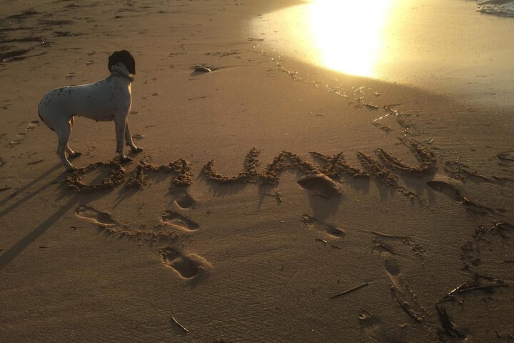 Beach 39 of 46