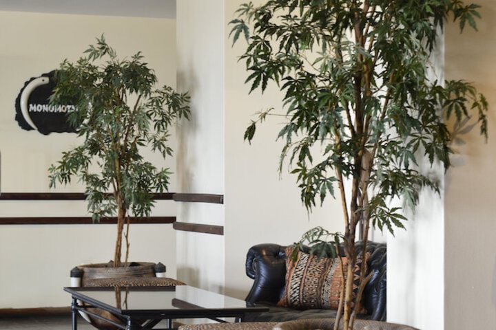 Lounge 184 of 276