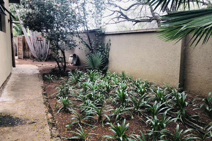 Hotel View 99 of 102