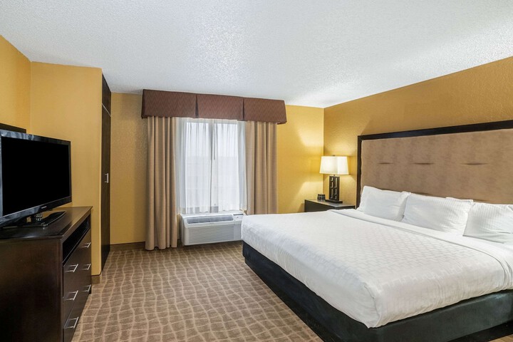 1 King Bed (16 of 32)