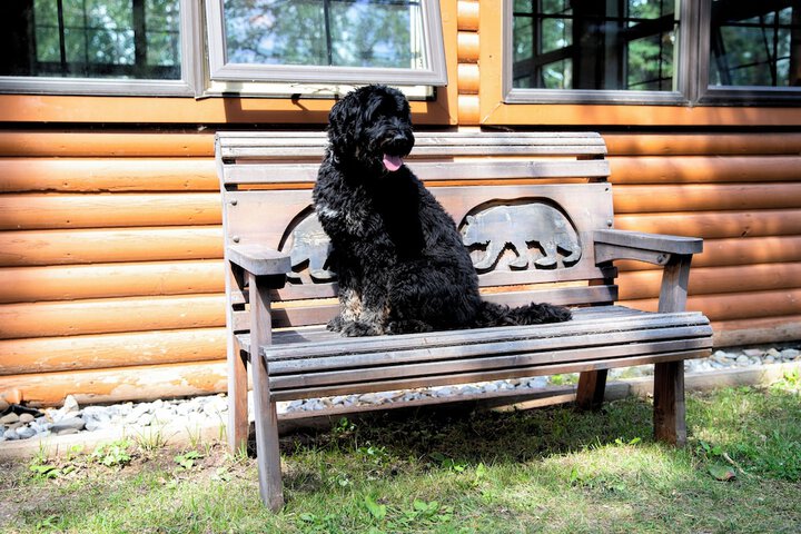 Pet Friendly 26 of 43