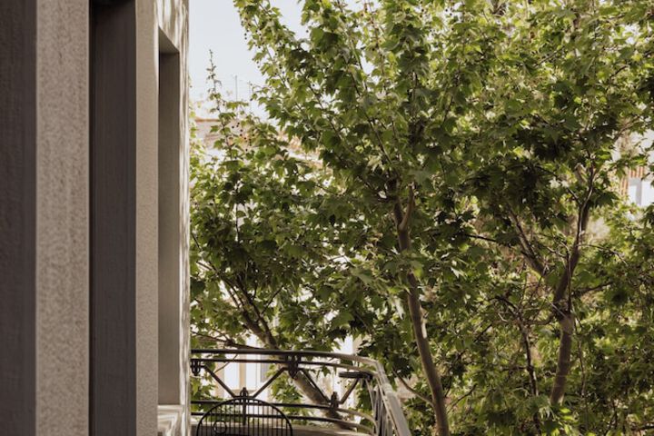 Terrace/Patio 94 of 95