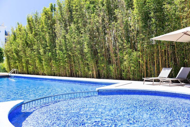 Hotel Pool