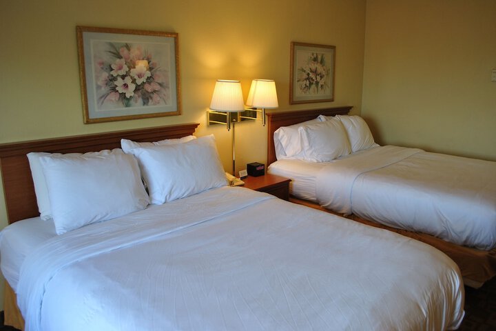 1 King Bed (2 of 13)