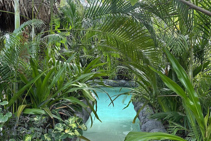 Pool 40 of 45