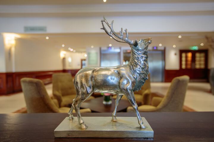 Lobby Photos