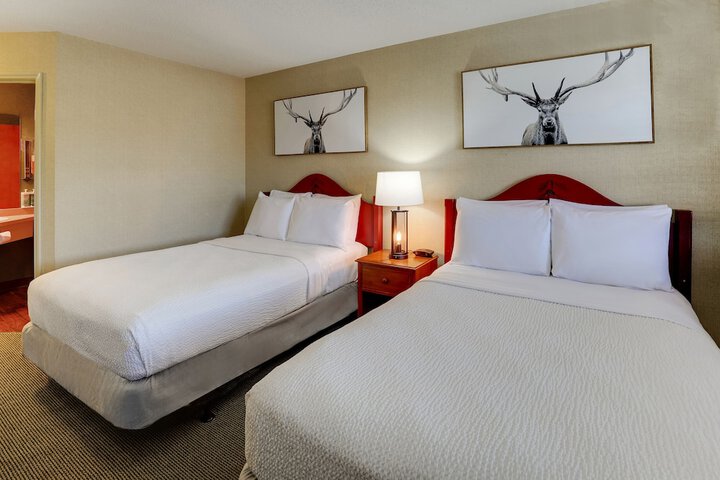 Quadruple Deluxe 2 Double Beds (1 of 5)