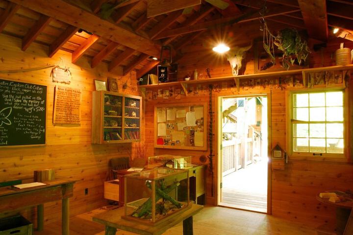 Childrens Activities 29 of 44