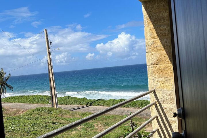 Terrace/Patio 26 of 28