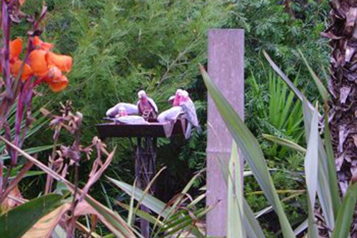 Property Grounds 40 of 50