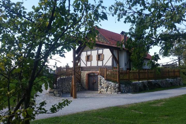 Domus Antiqua