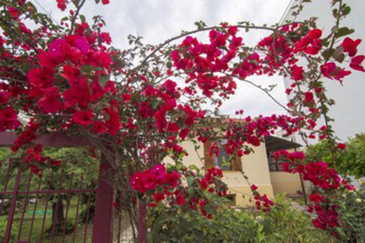 Traditional Home Near The Beach