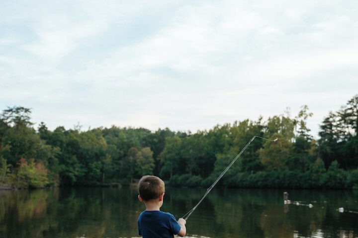 Property Grounds 56 of 71