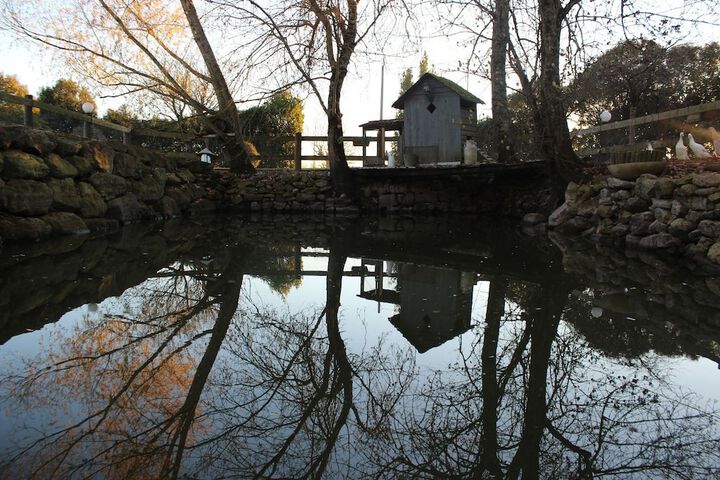 Property Grounds 11 of 25