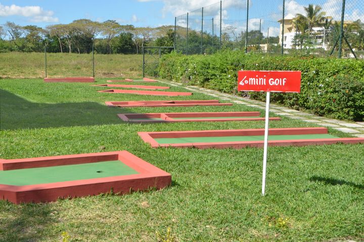 Mini-golf