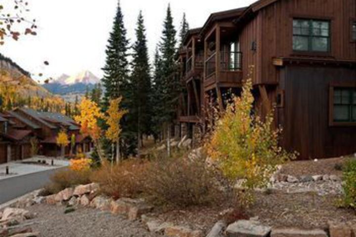 Image of Black Bear 59 by RedAwning