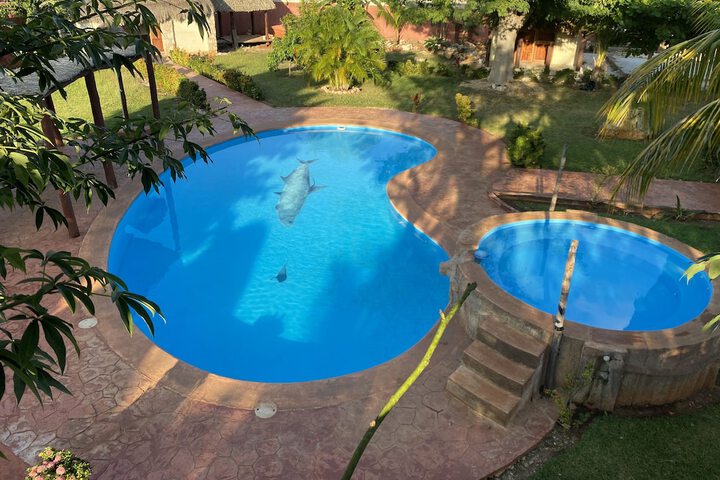 Pool 17 of 40