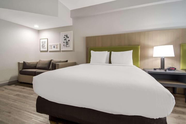 1 King Bed (6 of 19)