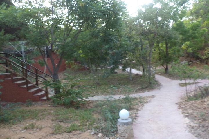 Terrace/Patio 8 of 11