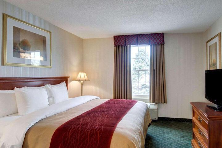 1 King Bed Accessible (5 of 15)