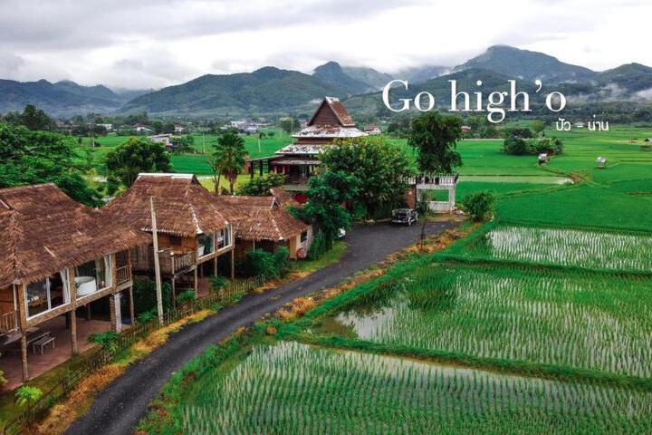 Image of Go high O