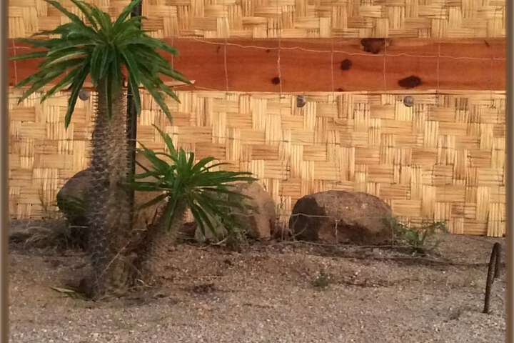 Property Grounds 7 of 15