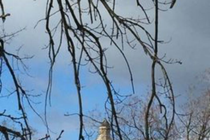 Property Grounds 63 of 66