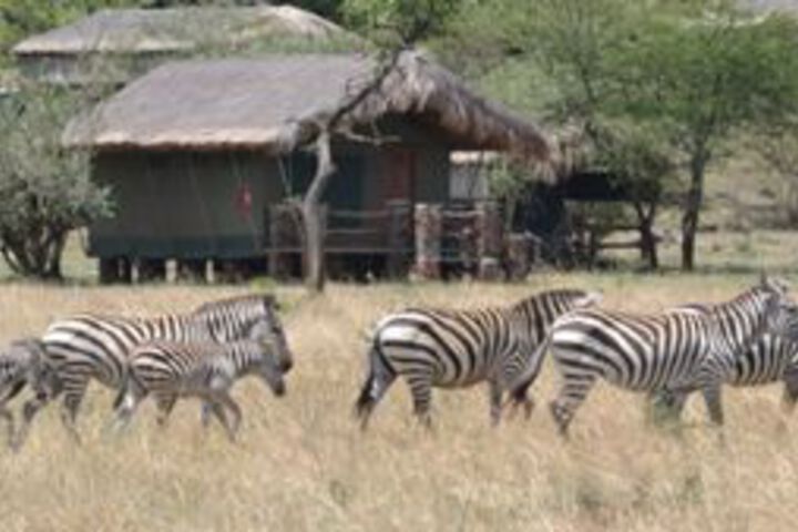 Grumeti Migration Camp