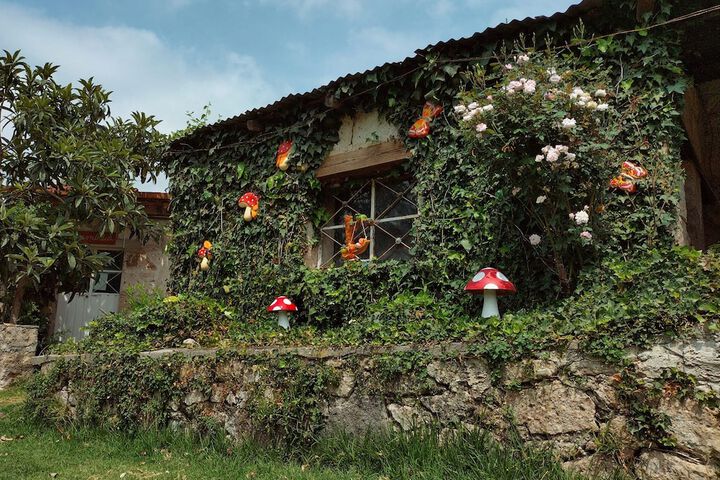 Hotel Las Palmas by GEstores in Huasca de Ocampo