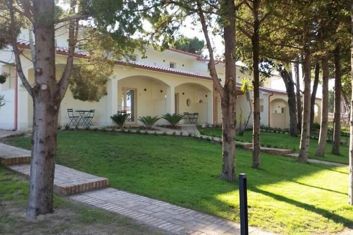 Hotel 41 of 43