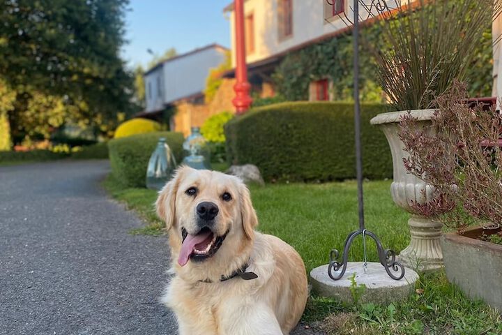 Pet Friendly 15 of 20