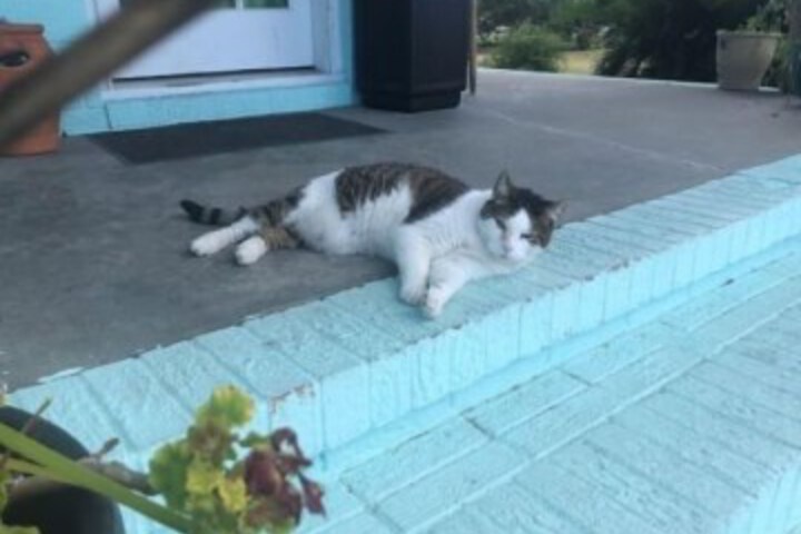 Hotel Interior 7 of 113