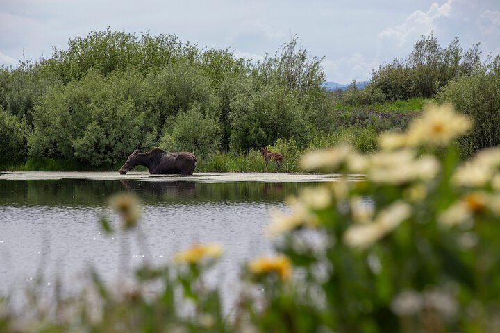 Outdoor Activities 37 of 50