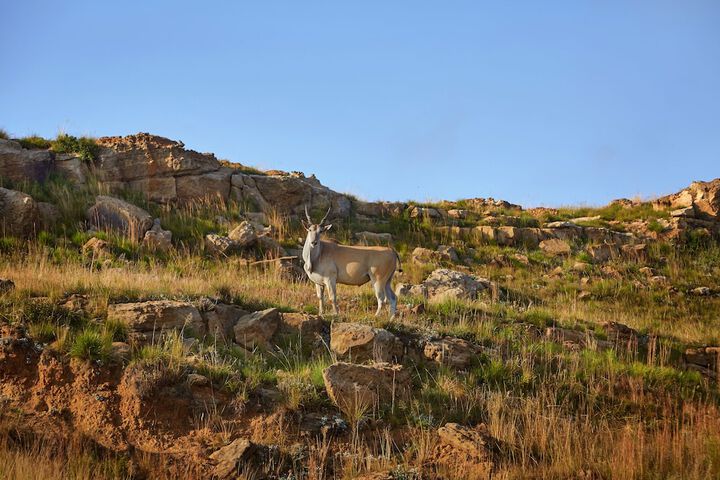 Property Grounds 151 of 198