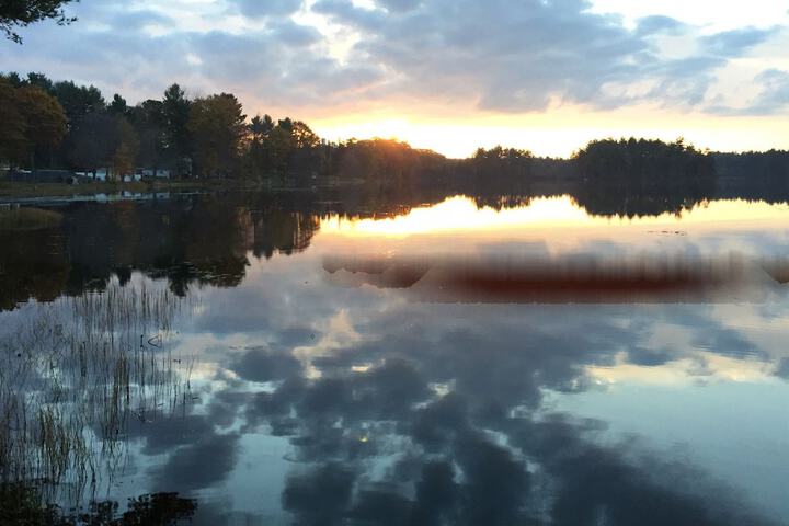 Property Grounds 37 of 50