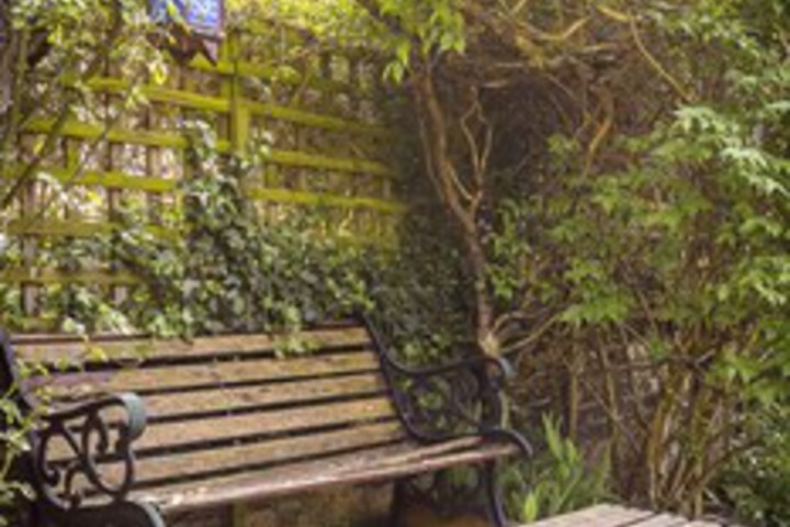 Terrace/Patio 36 of 38