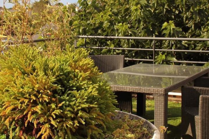 Terrace/Patio 70 of 75