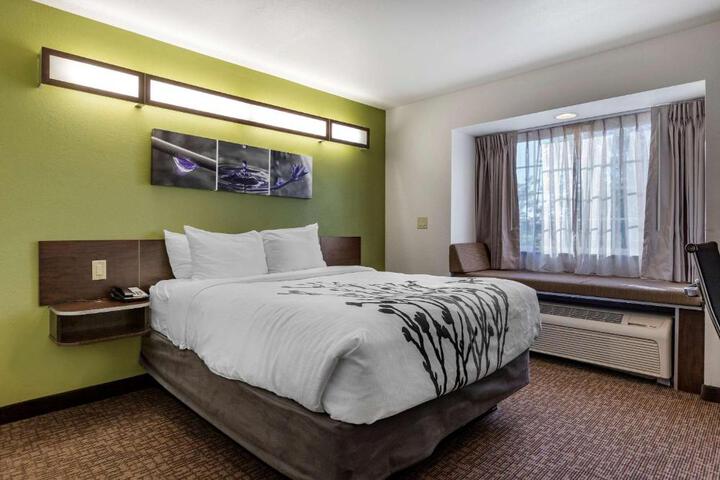 Queen Bed Accessible (14 of 15)