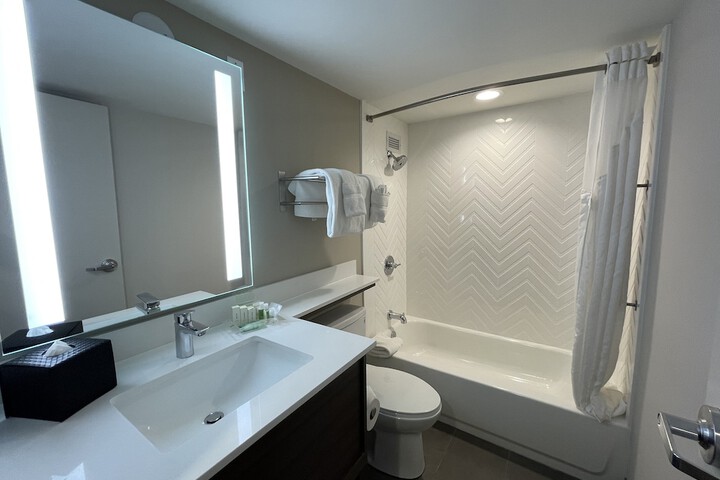 1 King Bed Accessible (8 of 12)