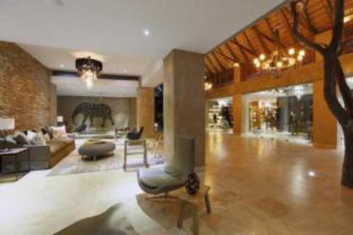 Image of Kapama Private Game Reserve