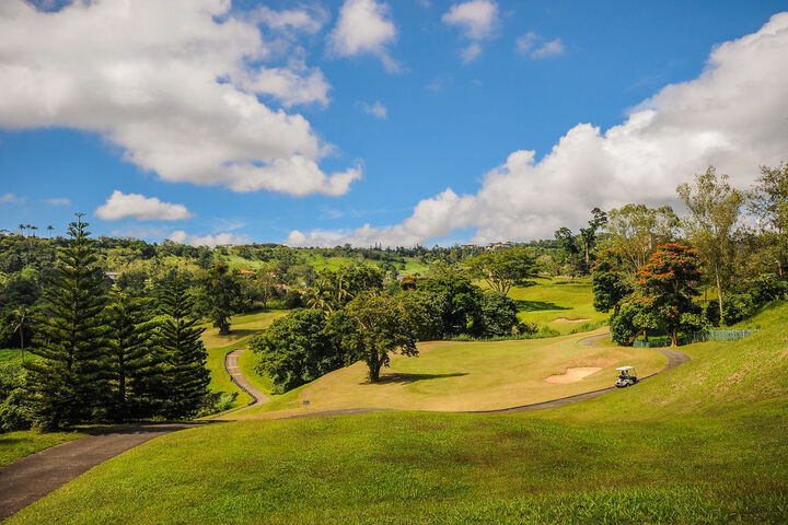 Golf 13 of 169