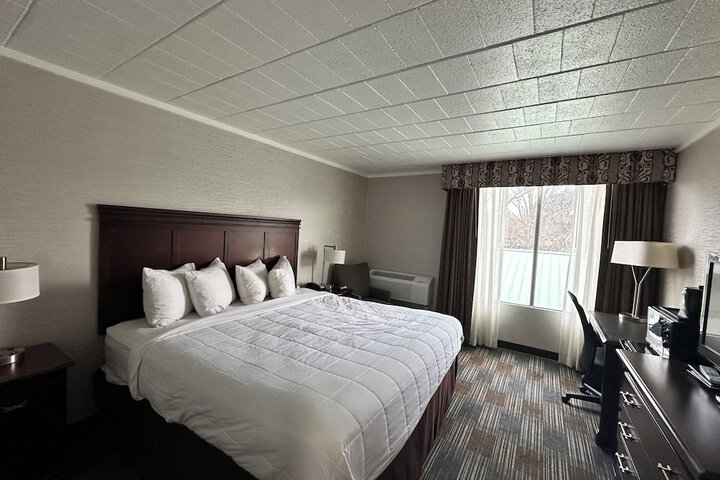 Deluxe King Bed (5 of 10)