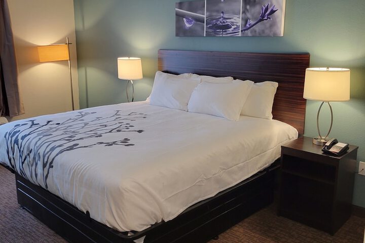 1 King Bed (2 of 9)