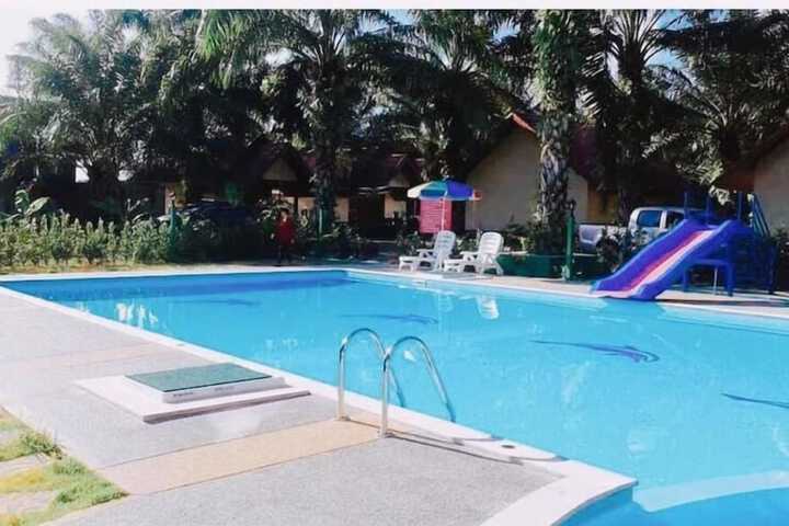 Pool 19 of 35