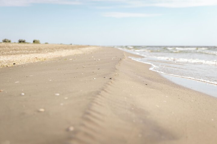 Beach 60 of 90