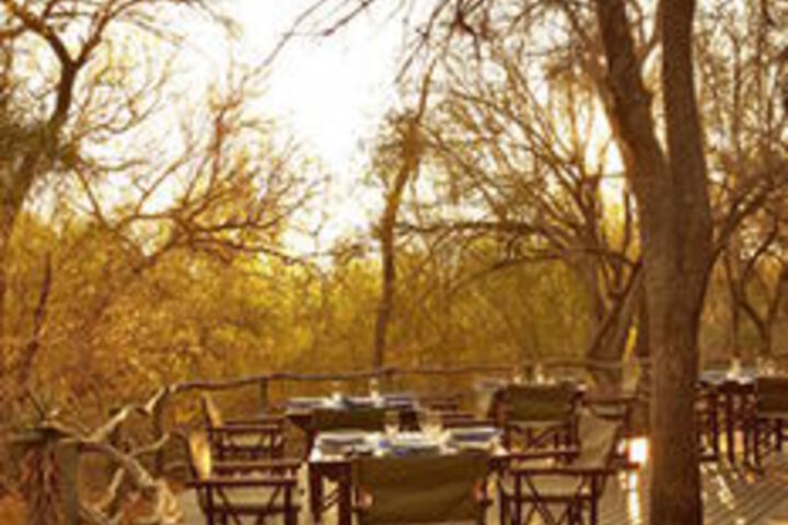 Dining 55 of 74