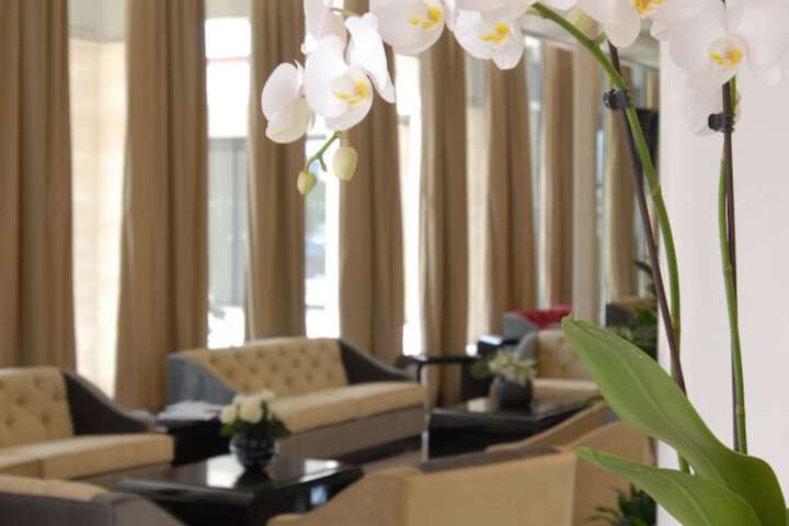 Entrance & Lobby